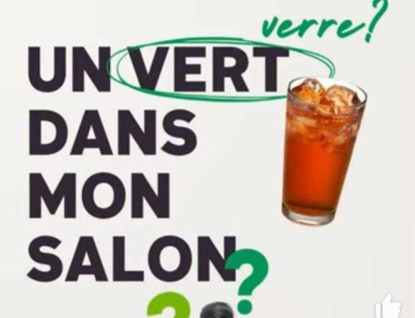 Un vert dans mon salon